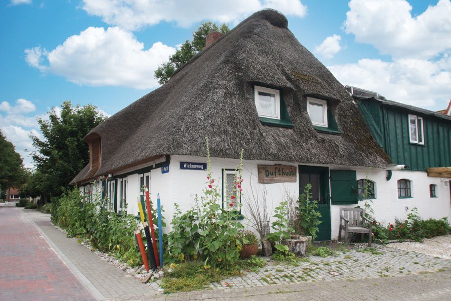 Reetdachhaus